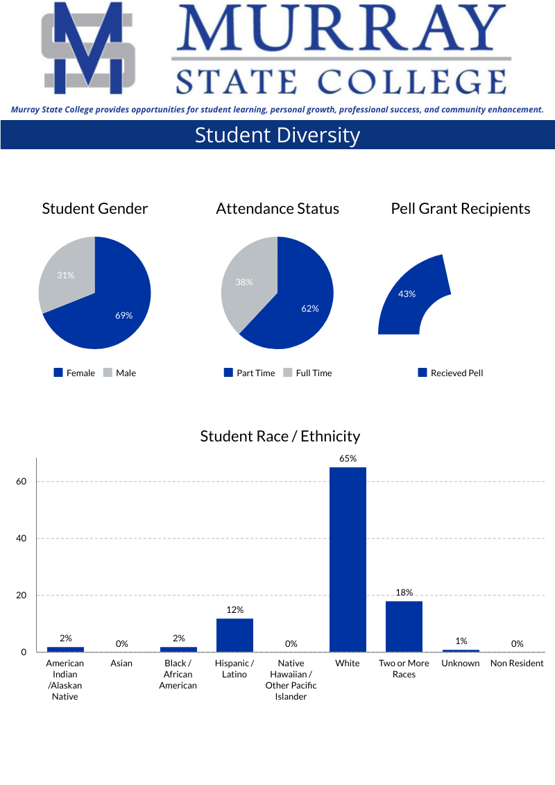 Student Diversity Graphic