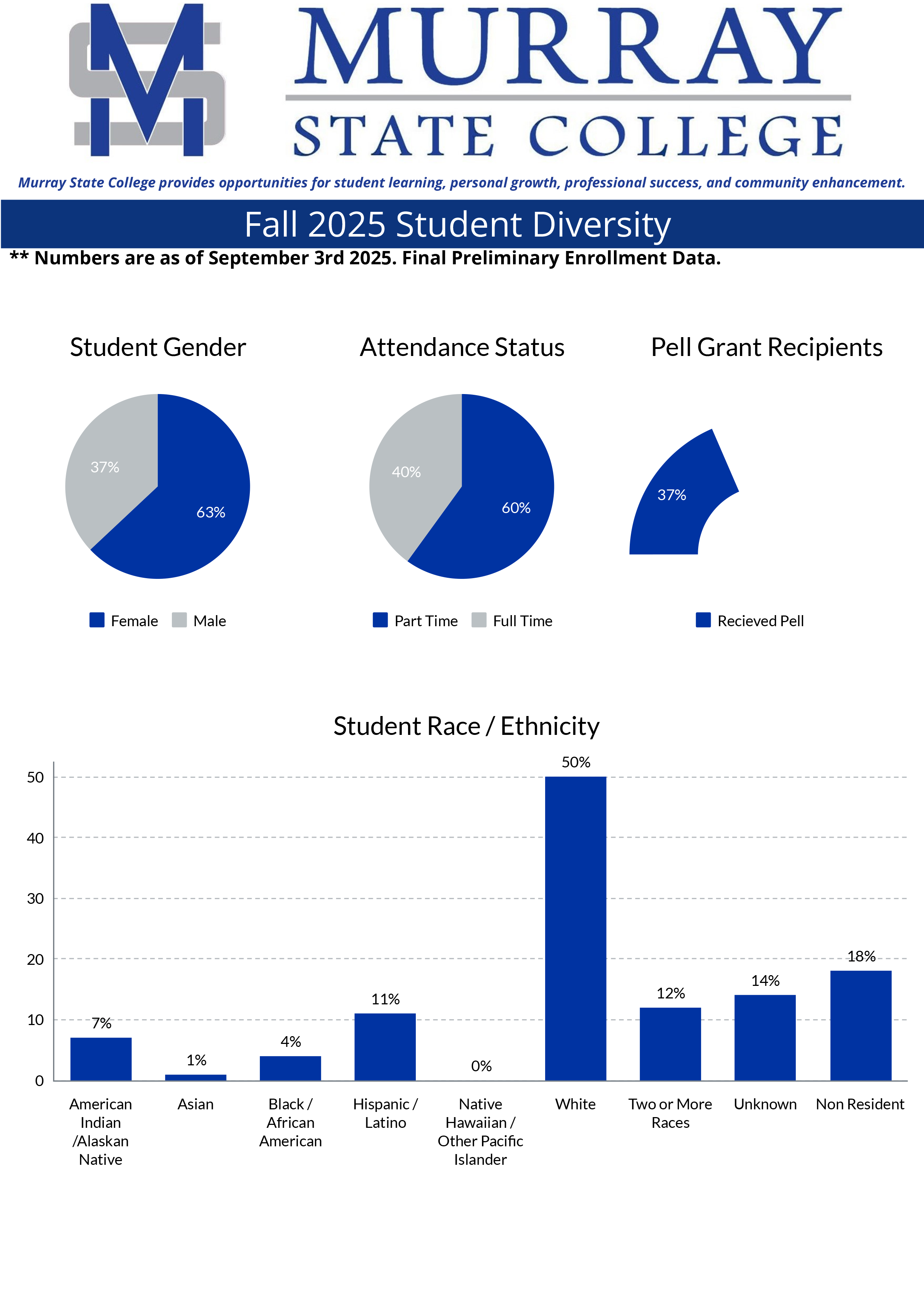 Student Diversity Graphic